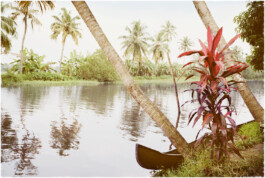 Wellermann, Bastar