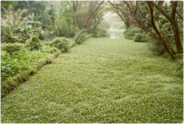 Wellermann, Bastar